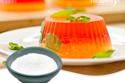 Acacia Gum Powder