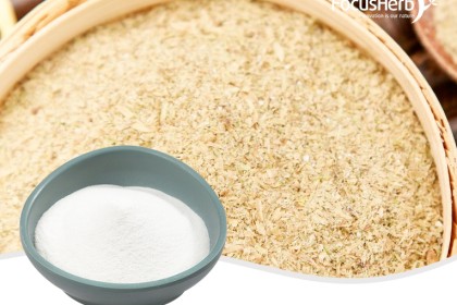 Ferulic Acid