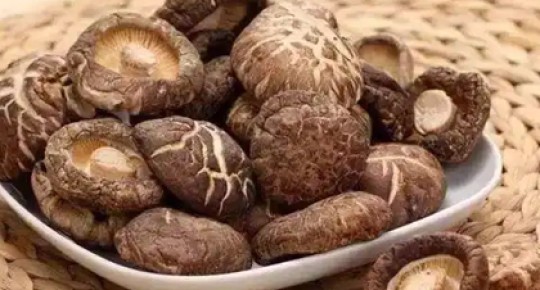 Shitake Mushroom Extract