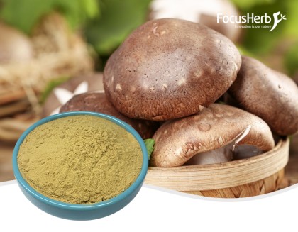 Organic Shiitake Extract