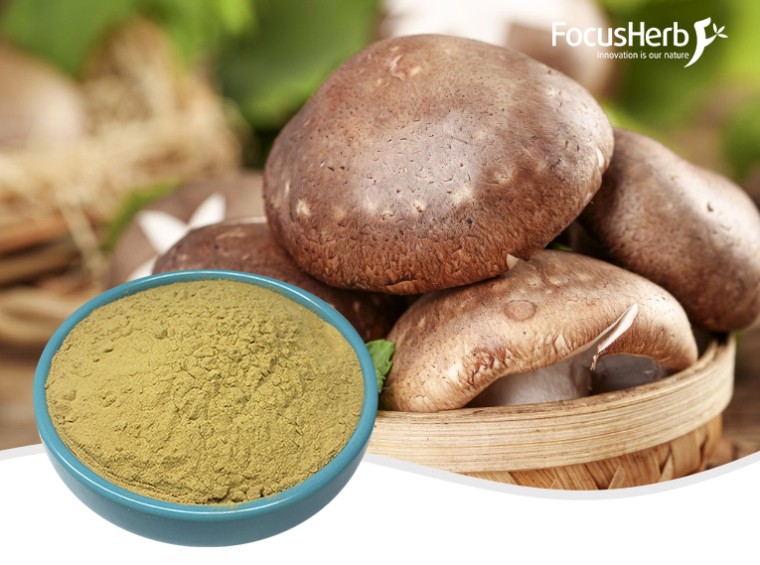 Organic Shiitake Extract