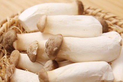 Organic Coprinus Comatus Extract