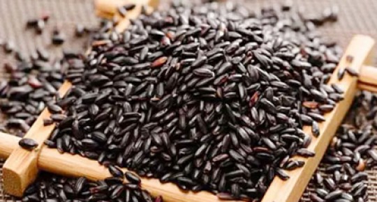 Black Rice Extract
