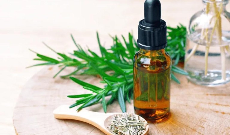 Whole Herbs or Standardized Herbal Extracts, Which is better
