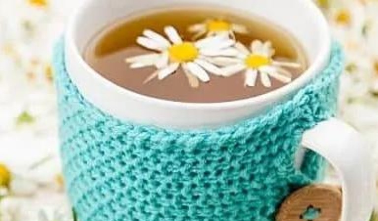 Nervine Herbs: What They Are And How They Can Help You