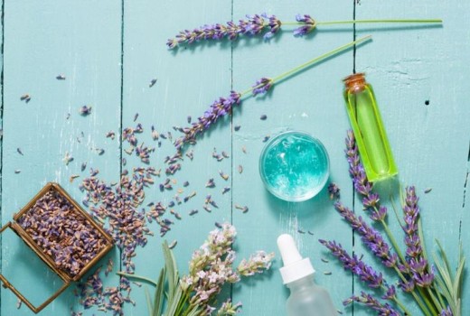 A Beginner’s Guide To Herbal Tinctures: Everything You Need To Know