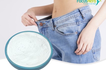 L-Carnitine