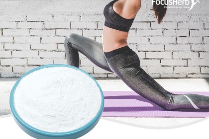 L-Carnitine Fumarate