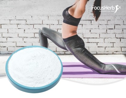 L-Carnitine Fumarate