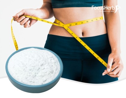 L-Carnitine HCl