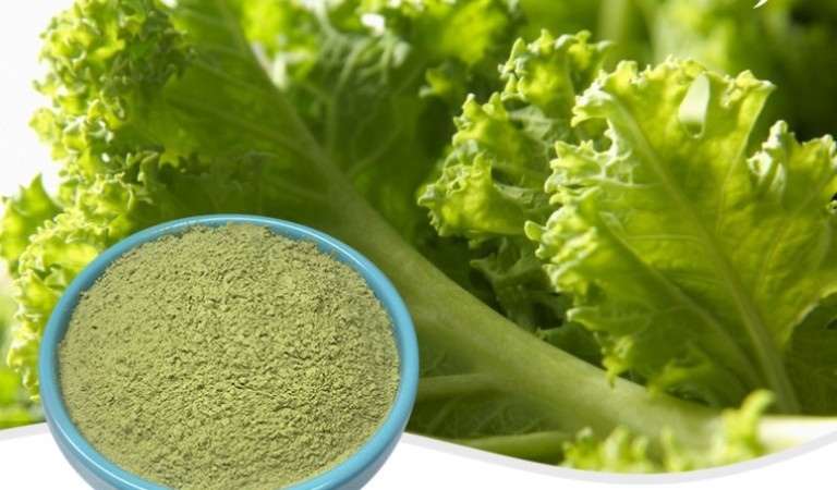 The Many Health Benefits of Kale: A Super Powder