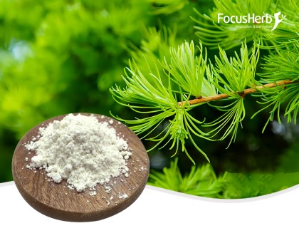 Taxifolin / Dihydroquercetin