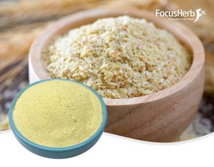 Wheat Germ Extract Spermidine