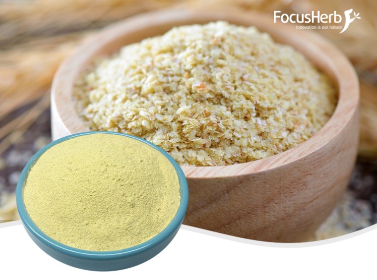 Wheat Germ Extract Spermidine