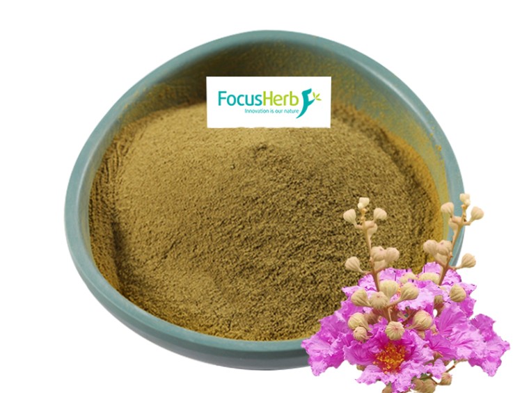 100g Pure Loquat Leaves Extract Powder – 20% Ursolic Acid, Organic, Unbranded Tea Infusion From China