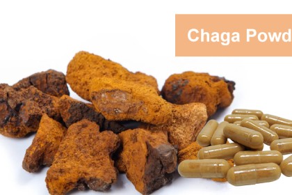 Chage Mushroom Powder