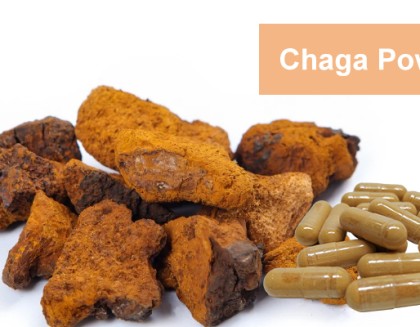 Chage Mushroom Powder