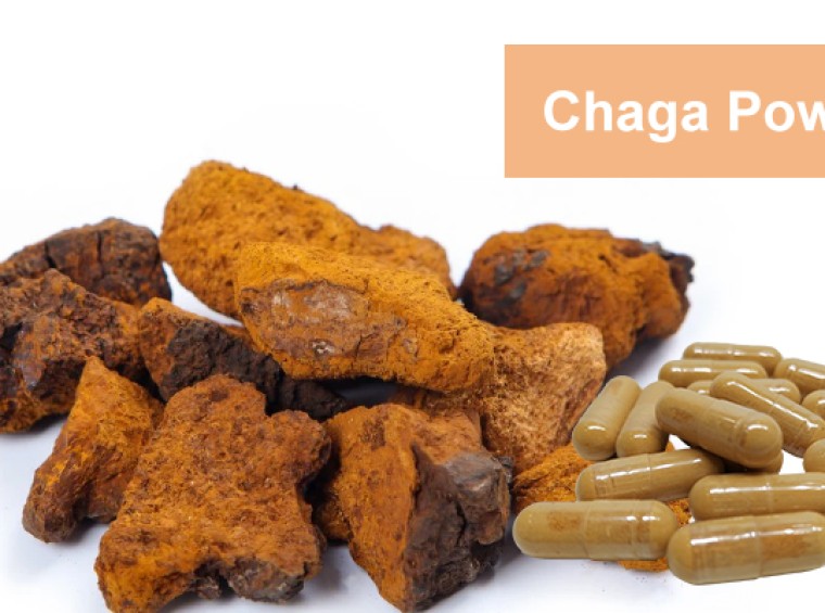 Chage Mushroom Powder