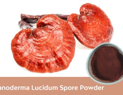 Reishi Mushroom Powder