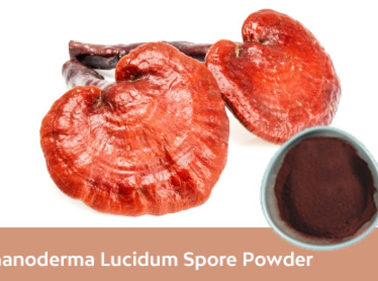 Reishi Mushroom Powder