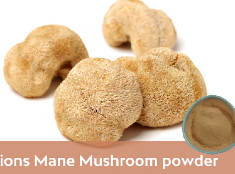 Lions Mane Mushroom powder