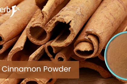 Cinnamon Powder