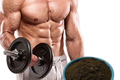 Black Maca Powder