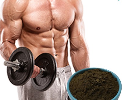 Black Maca Powder