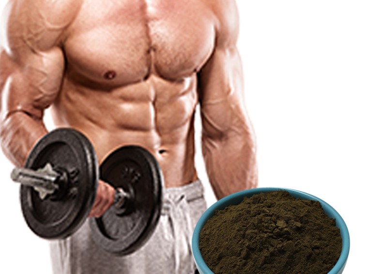 Black Maca Powder