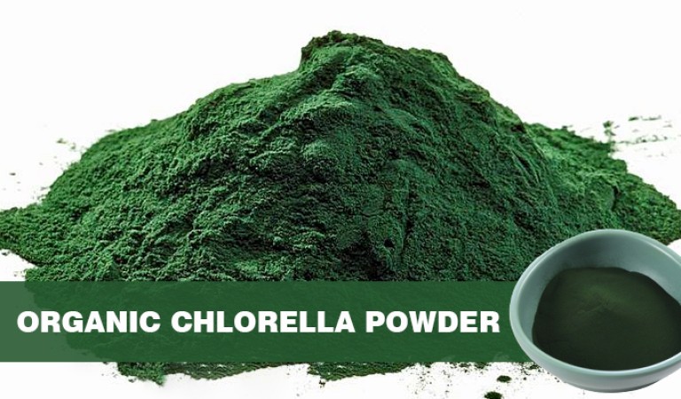 Organic Chlorella Powder – The Most Complete Nutritional Plant Ever!
