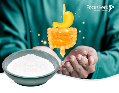B1 Thiamine hydrochloride