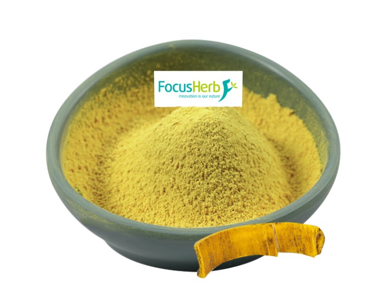 Berberine hydrochloride