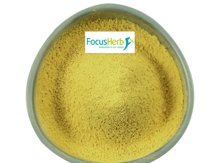 Berberine hydrochloride