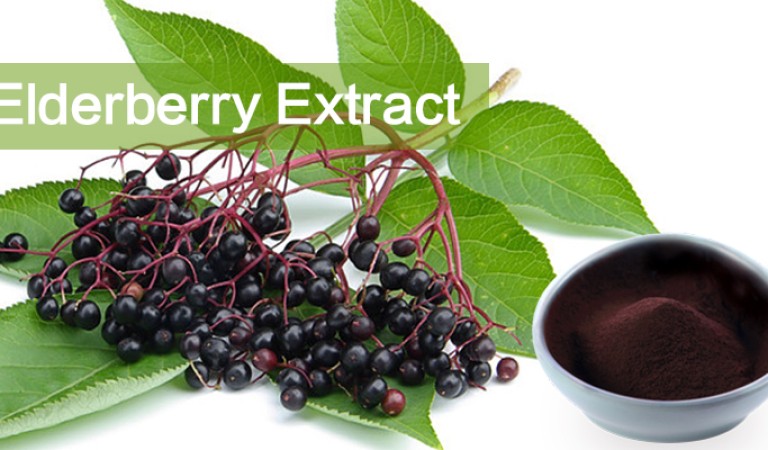 Elderberry extract Health Benefits