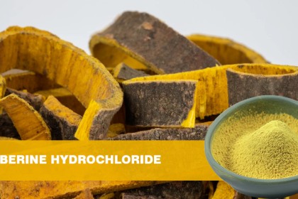 Berberine HCL