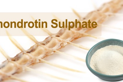 Chondroitin Sulfate