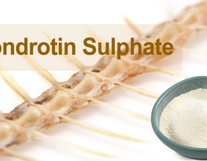 Chondroitin Sulfate