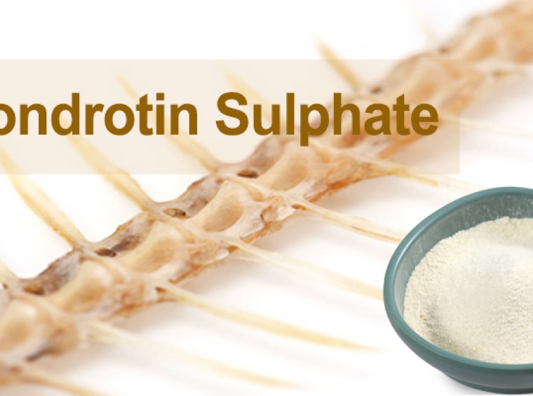 Chondroitin Sulfate