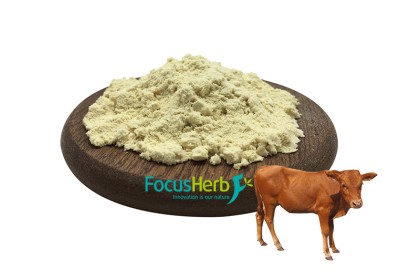 Bovine Prostate Powder