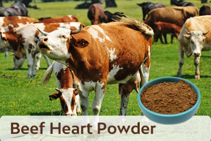 Beef Heart Powder