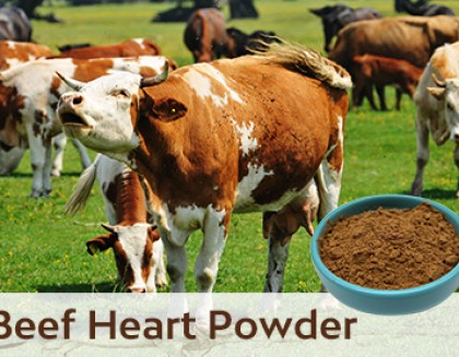 Beef Heart Powder