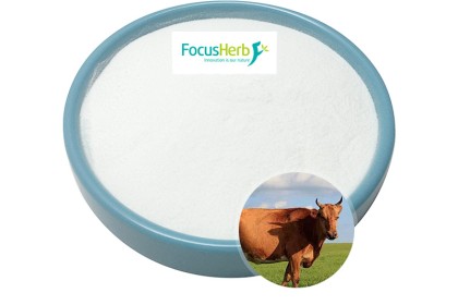 Bovine Thyroid Concentrate