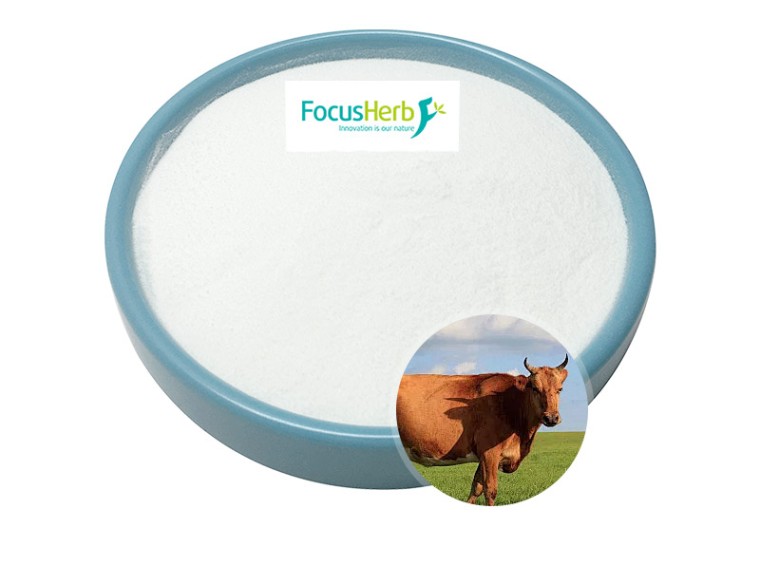 Bovine Thyroid Concentrate