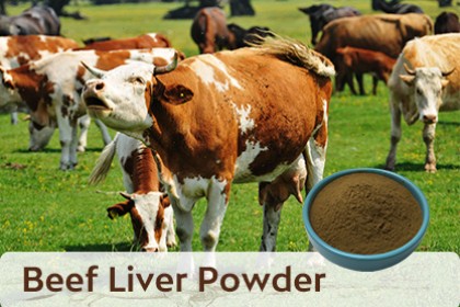 Grassfed Liver (from Bovine) Powder