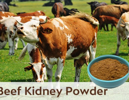 Beef Kidney Powder
