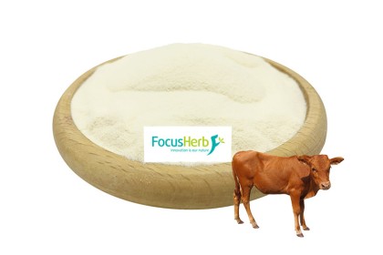 Bovine Spleen Powder