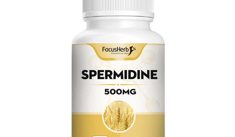 Spermidine: A mysterious polyamine in life
