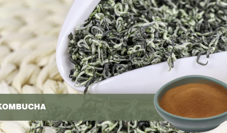 Kombucha: From Ancient Chinese Legend to a Global Health Trend