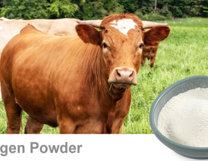 Bovine Collagen