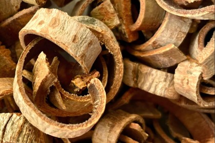 Magnolia Bark Extract